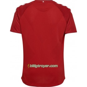 Billige Fotballdrakter Danmark VM 2018 Hjemmedraktsett